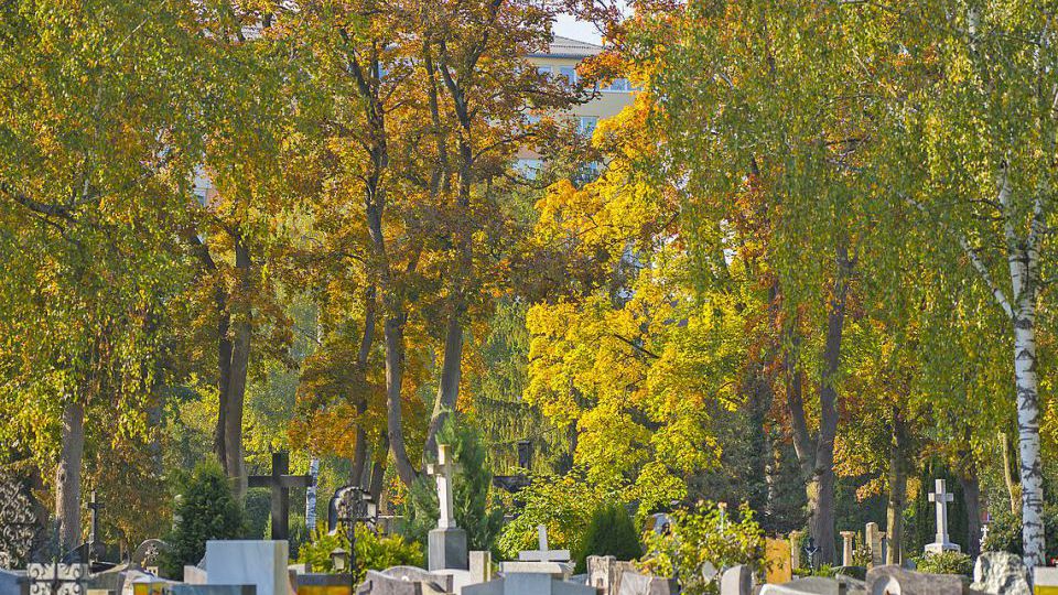 Friedhof.29.10.2020. jpg
