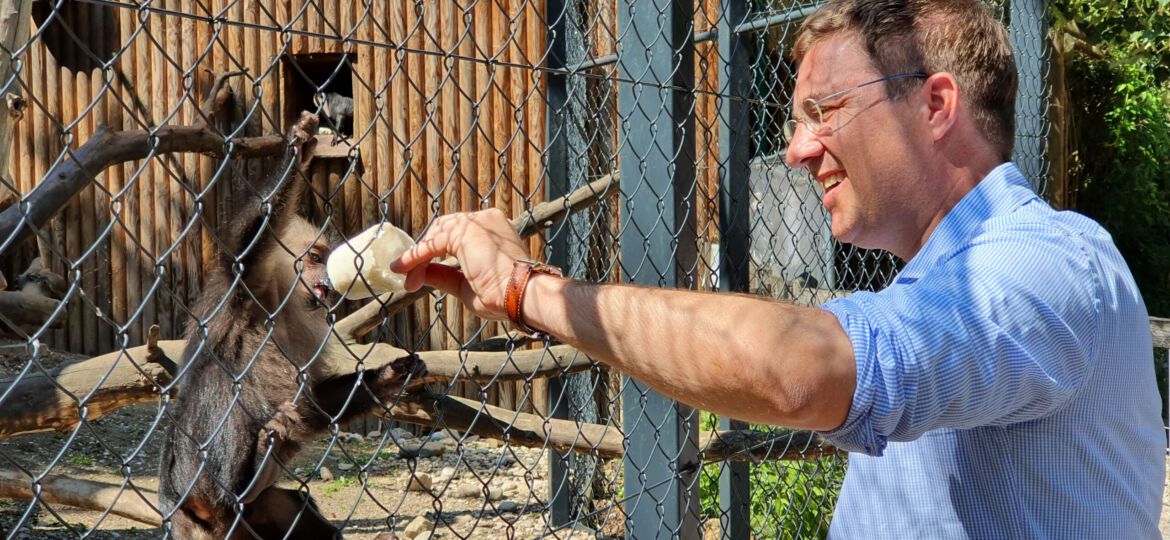 Rabl Andreas füttert einen Affen im Tierpark