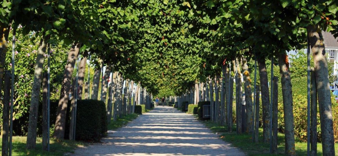 Rabl, Raggl-Mühlberger - Central Park_Allee_06092021