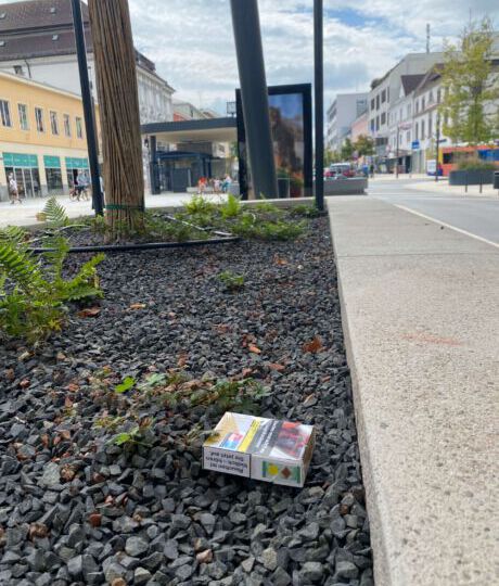 Verschmutzter Blumentrog am Kaiser-Josef-Platz