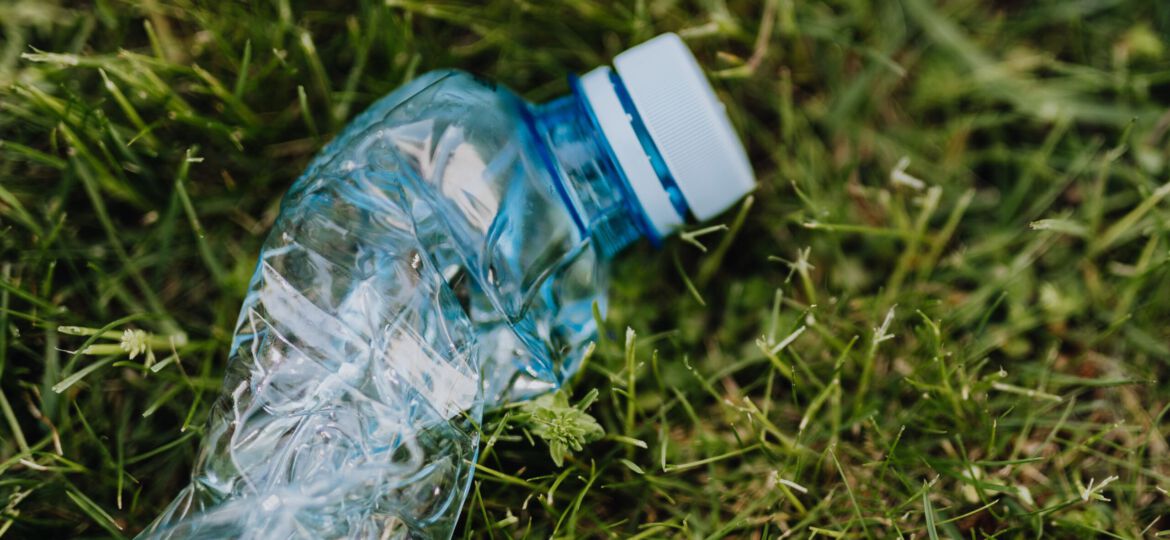 Leere Plastikflasche liegt in der Wiese