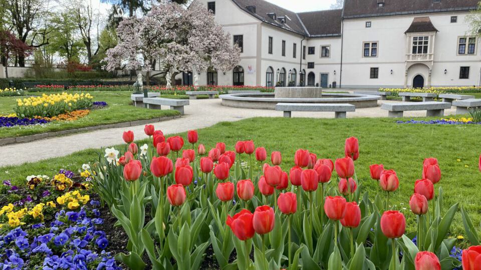 Welser Burggarten im Frühling mit blühenden Frühlingsblumen