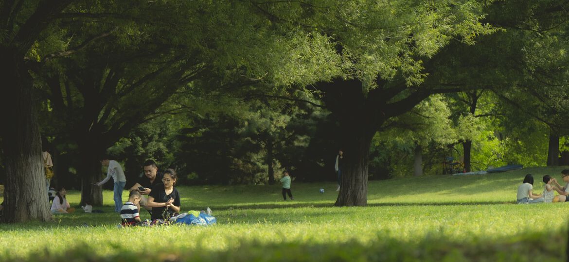 Beitragsbild Puppenpicknick