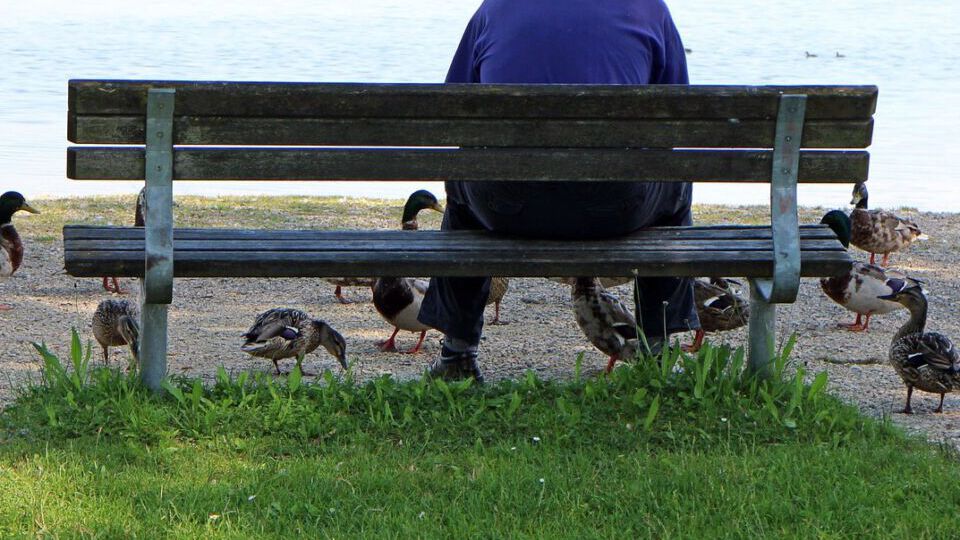 Mann sitzt auf einer Parkbank und füttert Enten