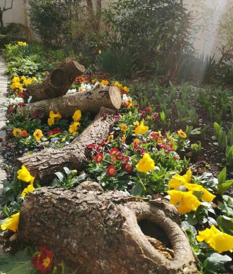 Frühling in der Stadt