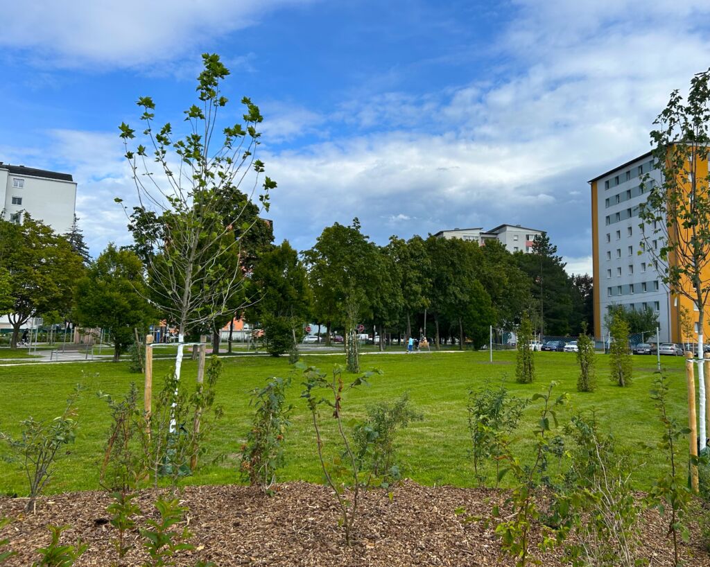 Friedenspark